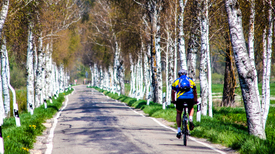 Cycling Tour through Lake Constance Hinterland
