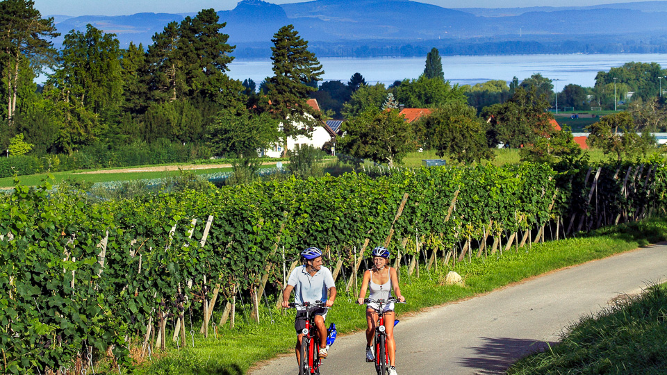 Cycle tour round Lake Constance for sporty types
