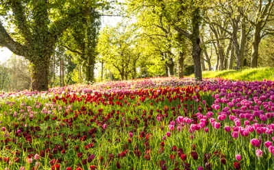 Mainau