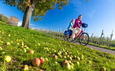 On your bike through Thurgau