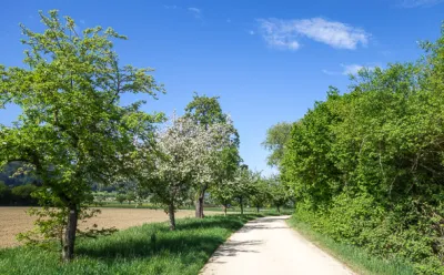 Countryside in Bohlingen