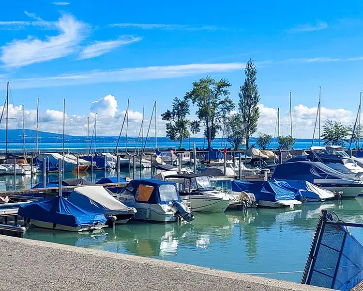 Blick auf den Bodensee