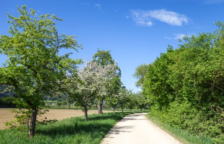 Landscape near Bohlingen