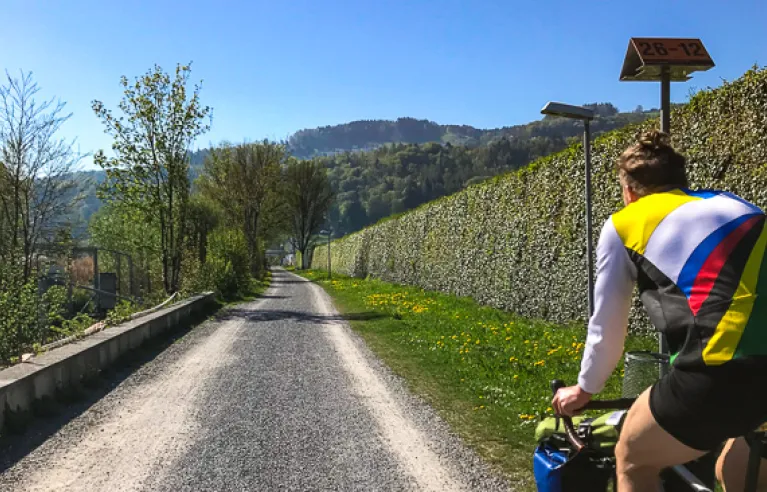 Racing cyclist on the road