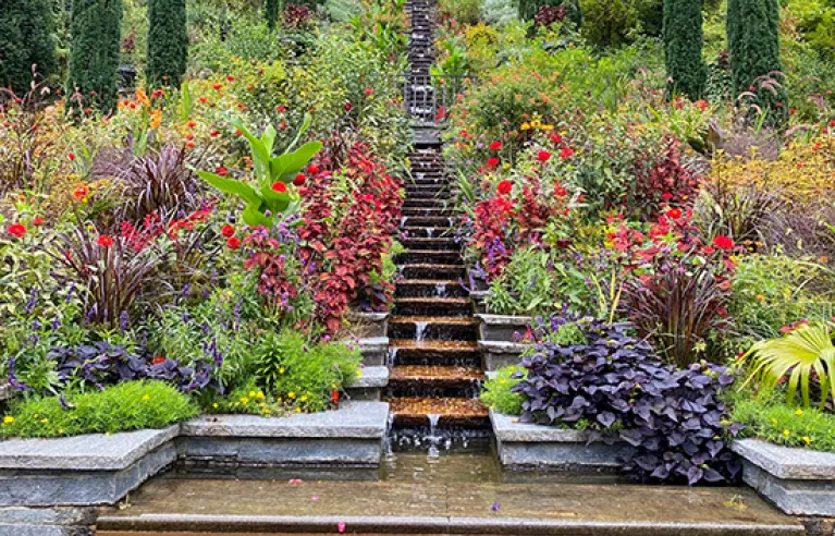 Mainau flower island