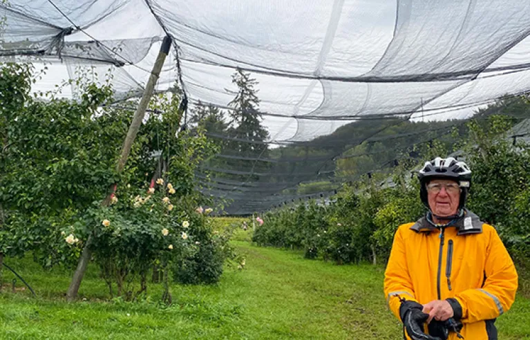 Apple orchards along the Rhine
