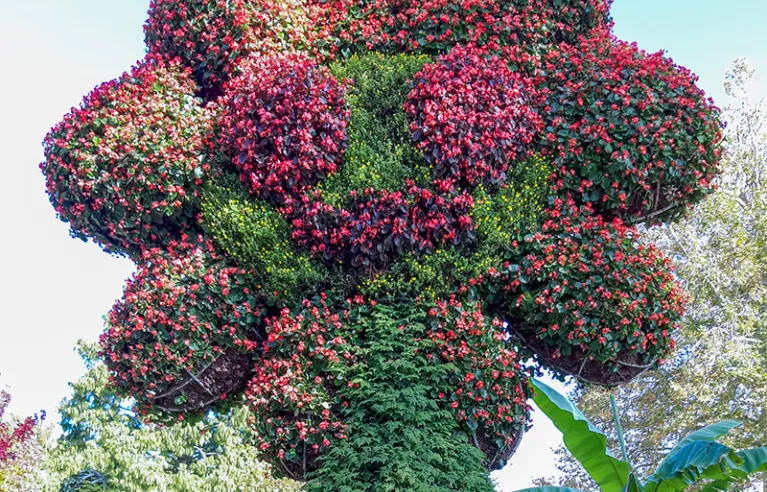 Mainau flower island