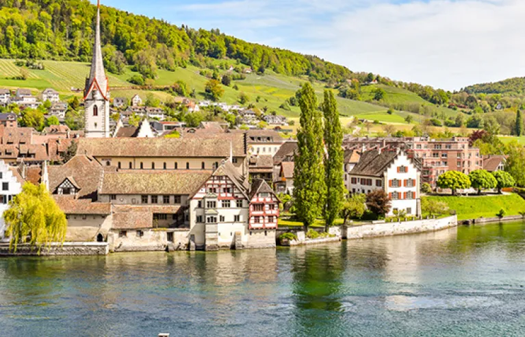 Stein on the Rhine