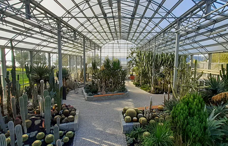 Cactus conservatory in Überlingen