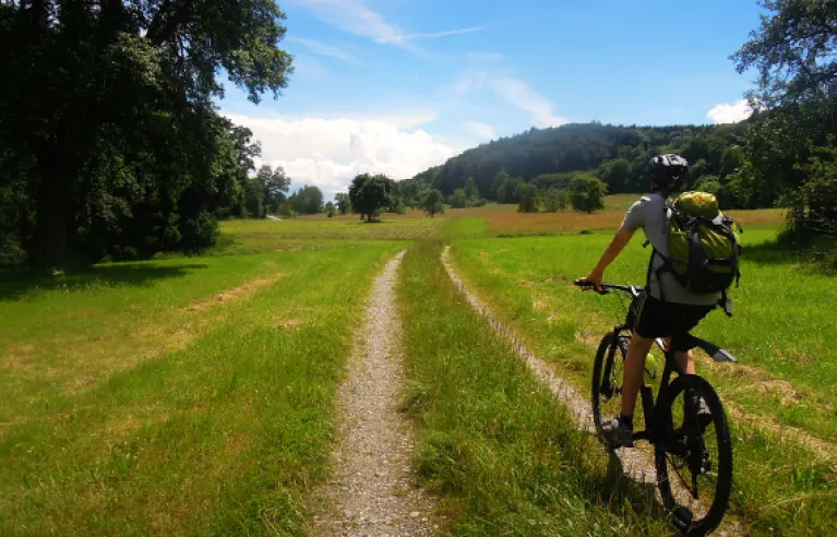 Mountain bike Bodanrück