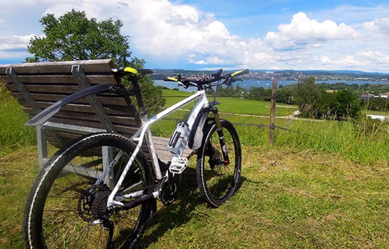 Mountain bike Lake Constance Bodanrück