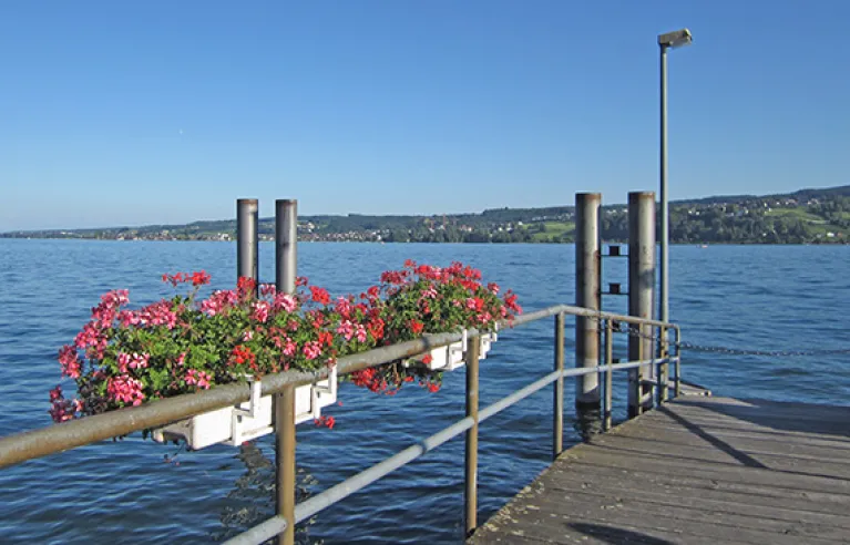 Reichenau Island jetty