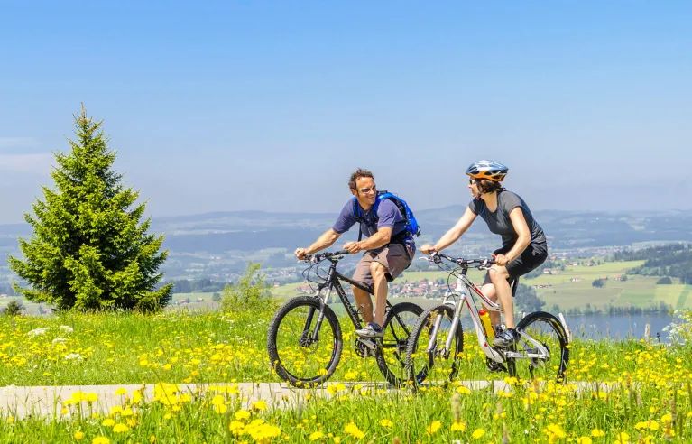 Cycling holidays for sporty people - Lake Constance Cycle Path