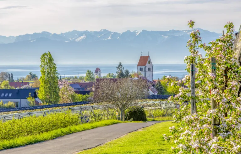Easy cycle tours for beginners - Lake Constance cycle path