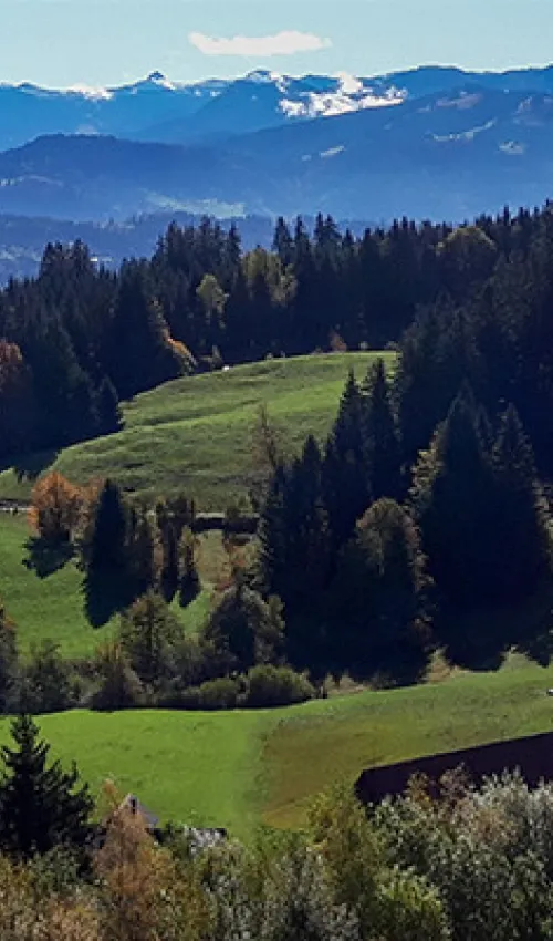 View from the Pfänder