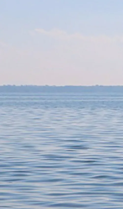 View of Lake Constance