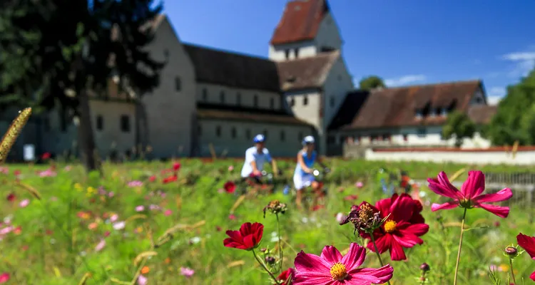 Lake Constance Cycle Path_Reichenau Island