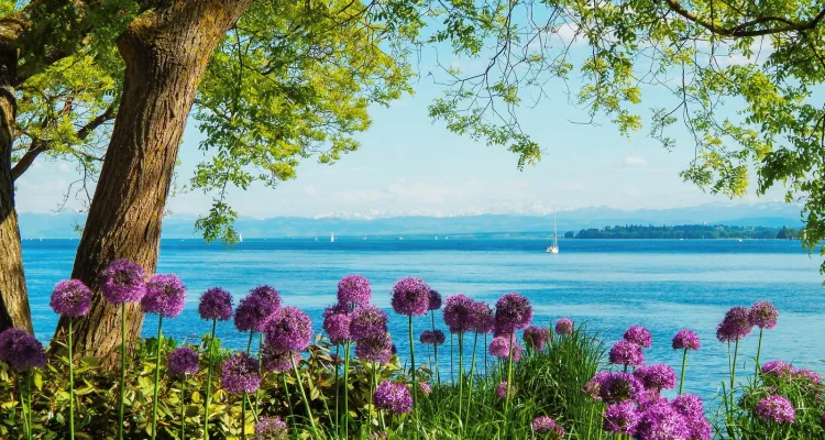 Mainau: Island of flowers