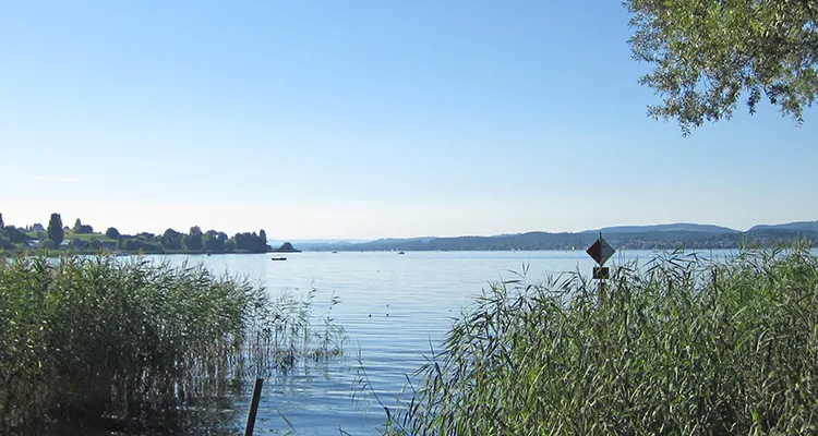 Gnadensee in front of Reichenau Island