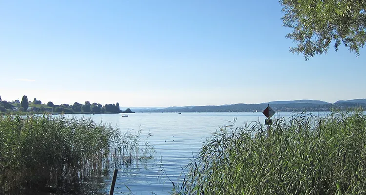 Gnadensee lake at Reichenau Island