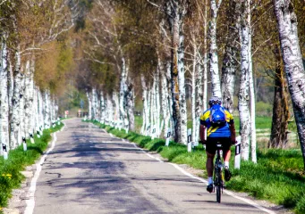 Der Donau-Bodensee-Radweg