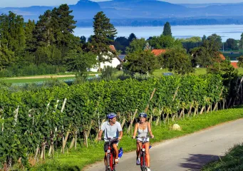 Fahrradtour um den Bodensee für Sportliche