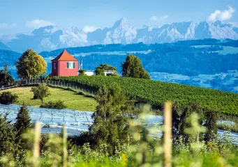 Mit dem Rad vom Bodensee an die Donau und ins Allgäu