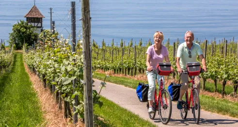 Lake Constance Cycle Path