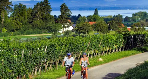 Cycle tour round Lake Constance for sporty types